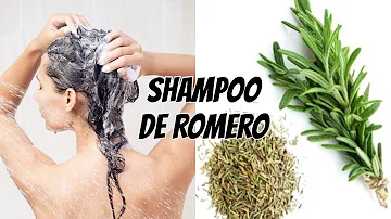 ¿Cuántas gotas de aceite de romero añadir al champú?