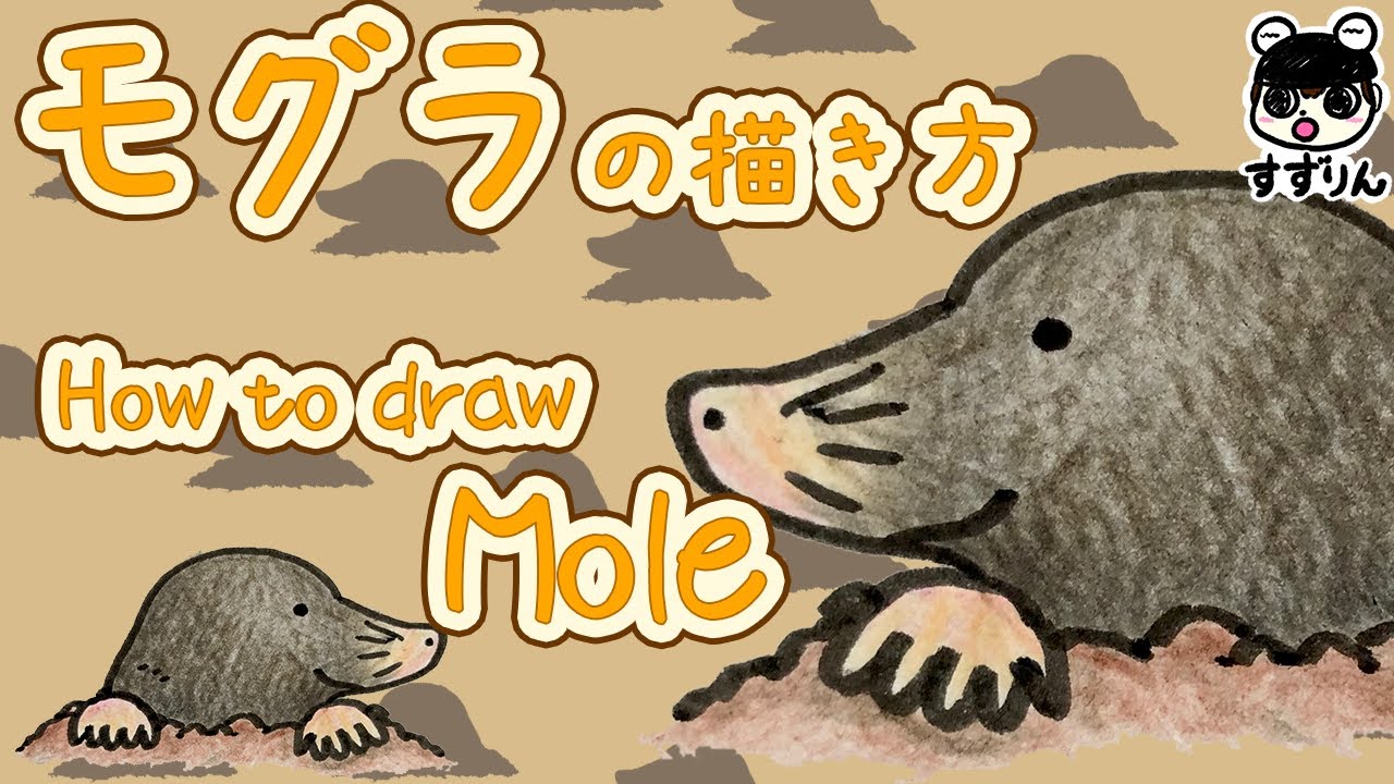 動物イラスト モグラの描き方 簡単 かわいいイラスト Youtube