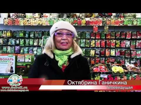 Советы от Октябрины Ганичкиной и Агрофирмы СеДеК.