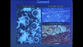 IOACON2013 -  Dr. A.K.Saha Lecture -  Manju bansal screenshot 5