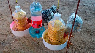 Super idea | How to make a nice, very easy waterer and feeder for chickens with 5 L bottles