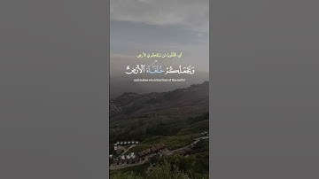 الآية التي تذكرك بقوة الدعاء 🙌 | عبدالباسط