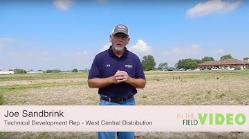 Exploring Resistant Weed Palmer Amaranth with Joe Sandbrink - In The Field Episode 13