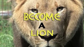 BECOME A LION - Motivational Video (By Unkle Adams)