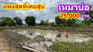 เหมาบ่อ 25,000บาท บ่อนี้แพงสุดที่เคยสูบมา | Ep.061