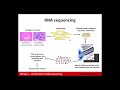 Introduction to RNA Sequencing and Analysis