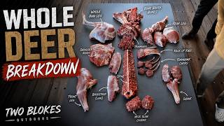 EP 1 of Venison butchery: Whole Deer Breakdown