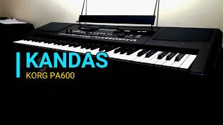 KANDAS KARAOKE KORG PA600