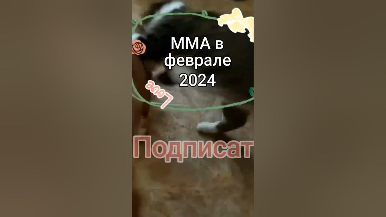 🐕 ️🐈 "Дружба крепкая" - YouTube