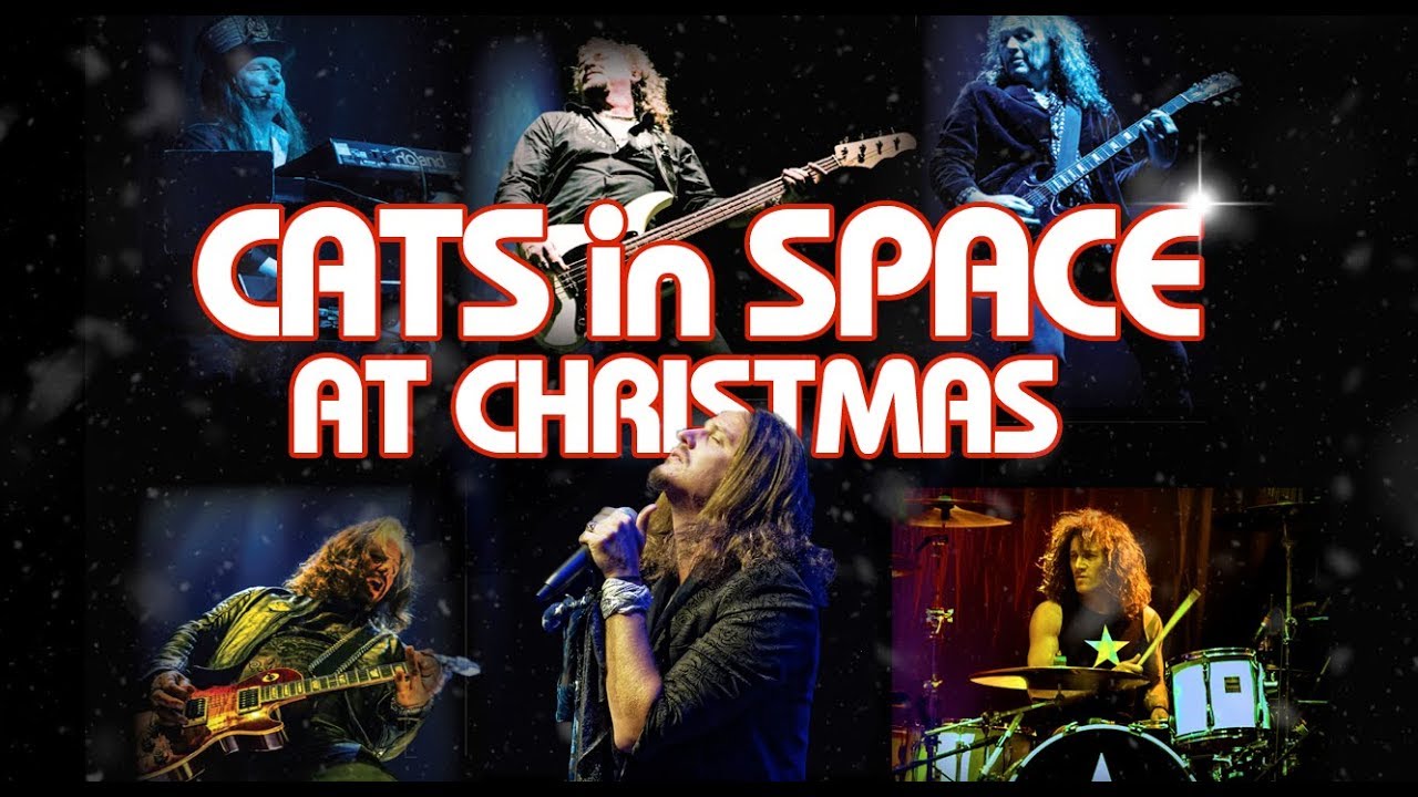 cats-in-space-the-band-tour-and-christmas-2019-news-youtube