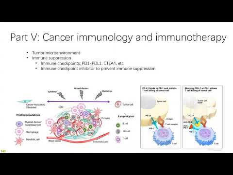 2021 STAT115 Lab11.3 Cancer immunology