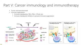 2021 STAT115 Lab11.3 Cancer immunology