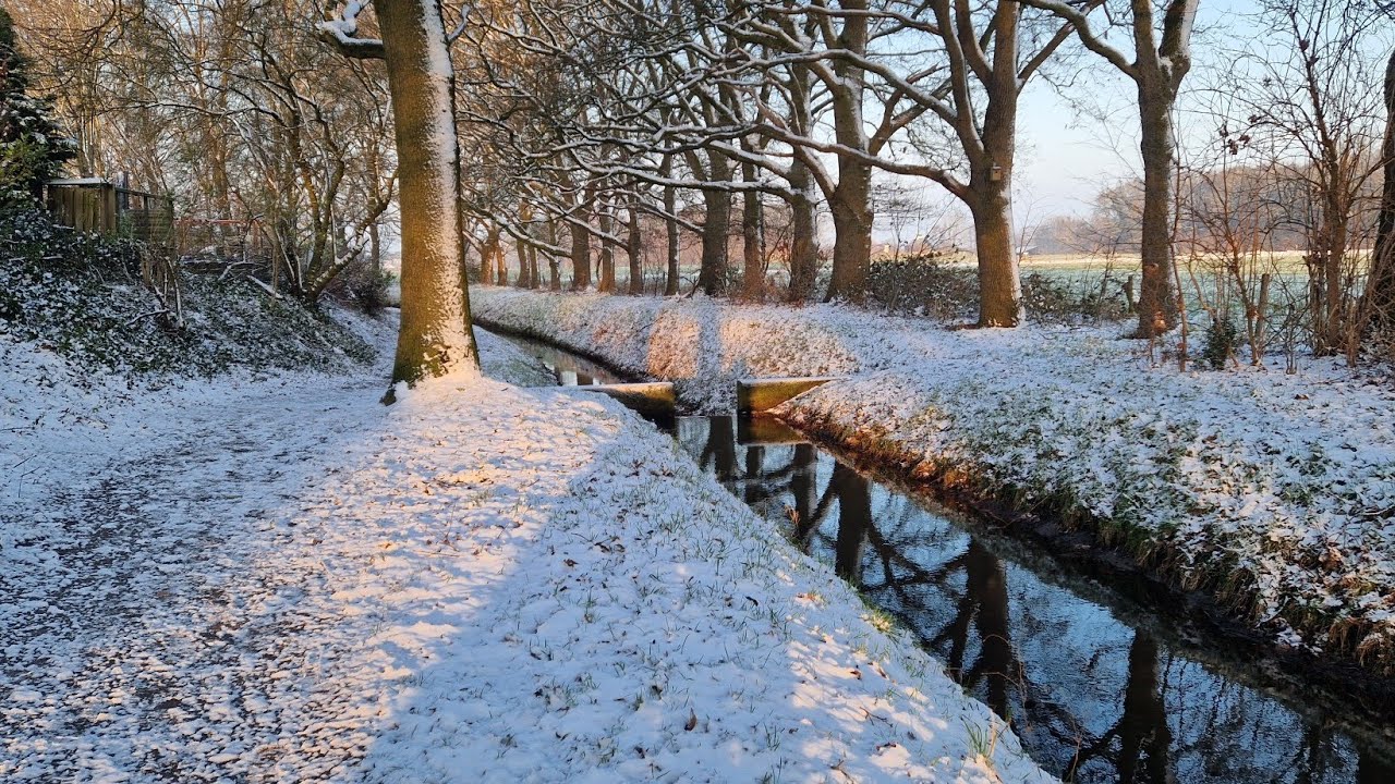 Zondagvlog 🇳🇱 Ned Veel wandelingen door elke dag een ander landschap en ook breien! En haken...