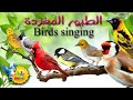 أسماء أجمل الطيور المغردة  Name of Birds and Sounds |Learn Birds Name in arabic & English language