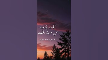 #القرآن_الكريم #تلاوة_خاشعة #اكسبلور #ماهر_المعيقلي #ياسر_الدوسري #لايك #ترند #تلاوات #قرآن #تيك_توك