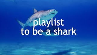 𓆜  | playlist to be a shark