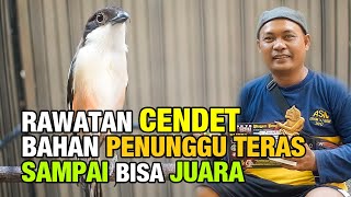 MENCETAK CENDET DARI BAHAN PENUNGGU TERAS , SAMPAI BISA JUARA