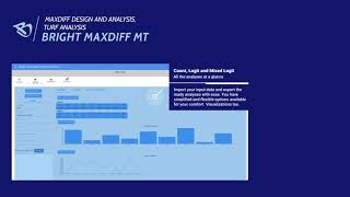 Bright MaxDiff MT in one minute