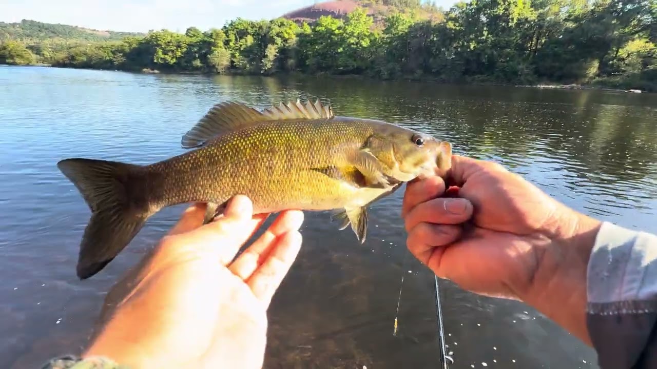 Smallmouth Bass Heaven!! ( Lehigh River Fishing )