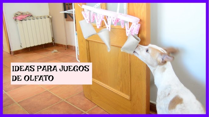 Juguetes interactivos para perros: descubre los más recomendados