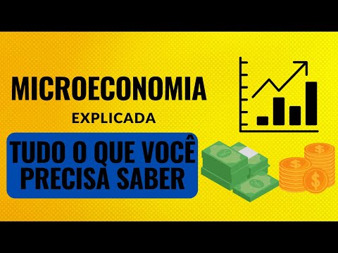 Microeconomia Explicada: Tudo
