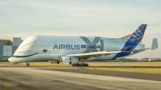Суперсооружения Аэробус Beluga XL National Geographic 2019 Full HD 1080p
