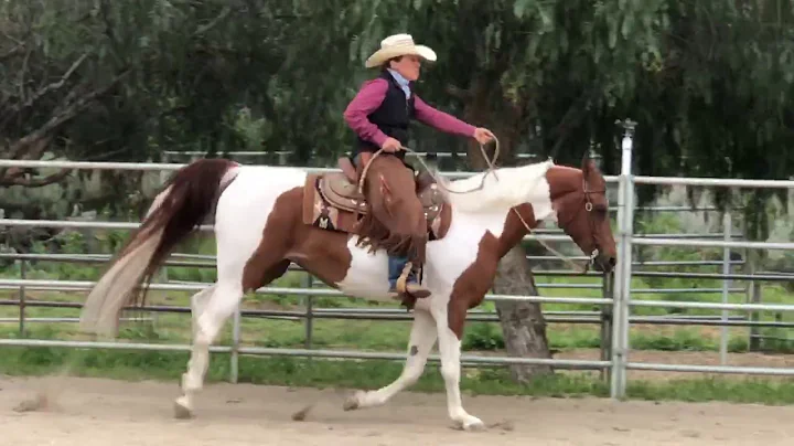 Open Ranch RailMarcy Roberts & Kalifornia Poppy