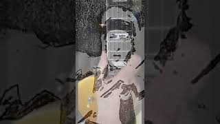 Download Lagu Brothers In Arms - Mark Knopfler - Best Guitar Solo (cover) shorts @john-erwin-vegas MP3