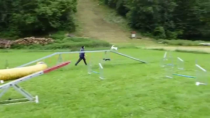 Agility: Training Claudia & Scotti
