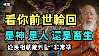 為什麽人都相信六道輪回，從長相就能判斷，你前世從哪一道投胎轉世而來，非常準！助你脫離輪回苦海，早登極樂世界！#佛學 #佛教 #佛法