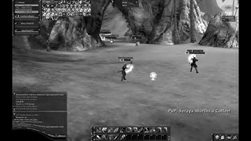 Random PvPs - L2Aaron