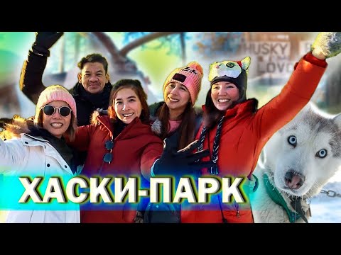 ХАСКИ-ПАРК Ловозеро в Мурманской области: покататься на хаски, погладить оленей в хаски-парке