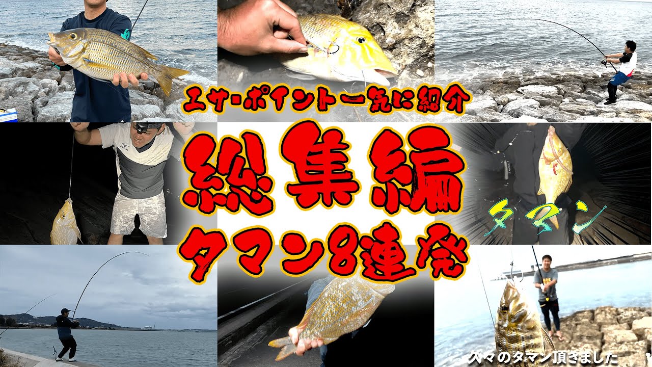 【沖縄釣り】タマン8連発!!!ジャリボーイズのこれまでのタマンポイントと餌を全部紹介します！！【タマン】
