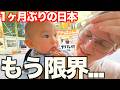 「もう無理かも!!...」帰国して日本の洗礼！1ヶ月ぶりの日本が想像以上に大変でした！！