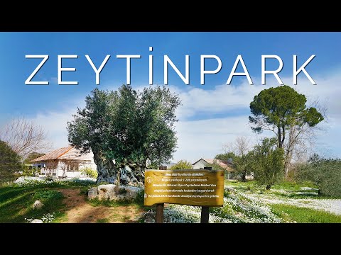 Video: Doğal park 
