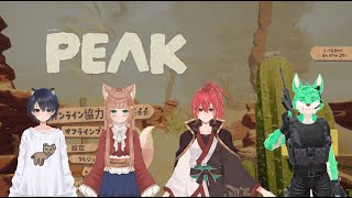 【 PEAK 】山登り深夜の部【 コラボ 】