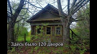 Заброшенная деревня ПЕРЖА, Кировская область