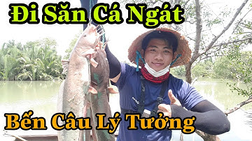 Câu Cá Cần Giờ|Buổi Sáng Đi Săn Cá Ngát Trúng Đậm/Sự Cần Giờ #46