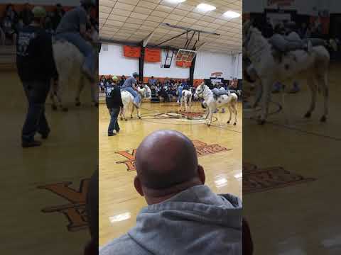 Donkey basketball(2)