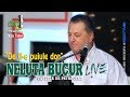 NELUTA BUCUR . De ti-e puiule dor -colaj- (EtnoTv)