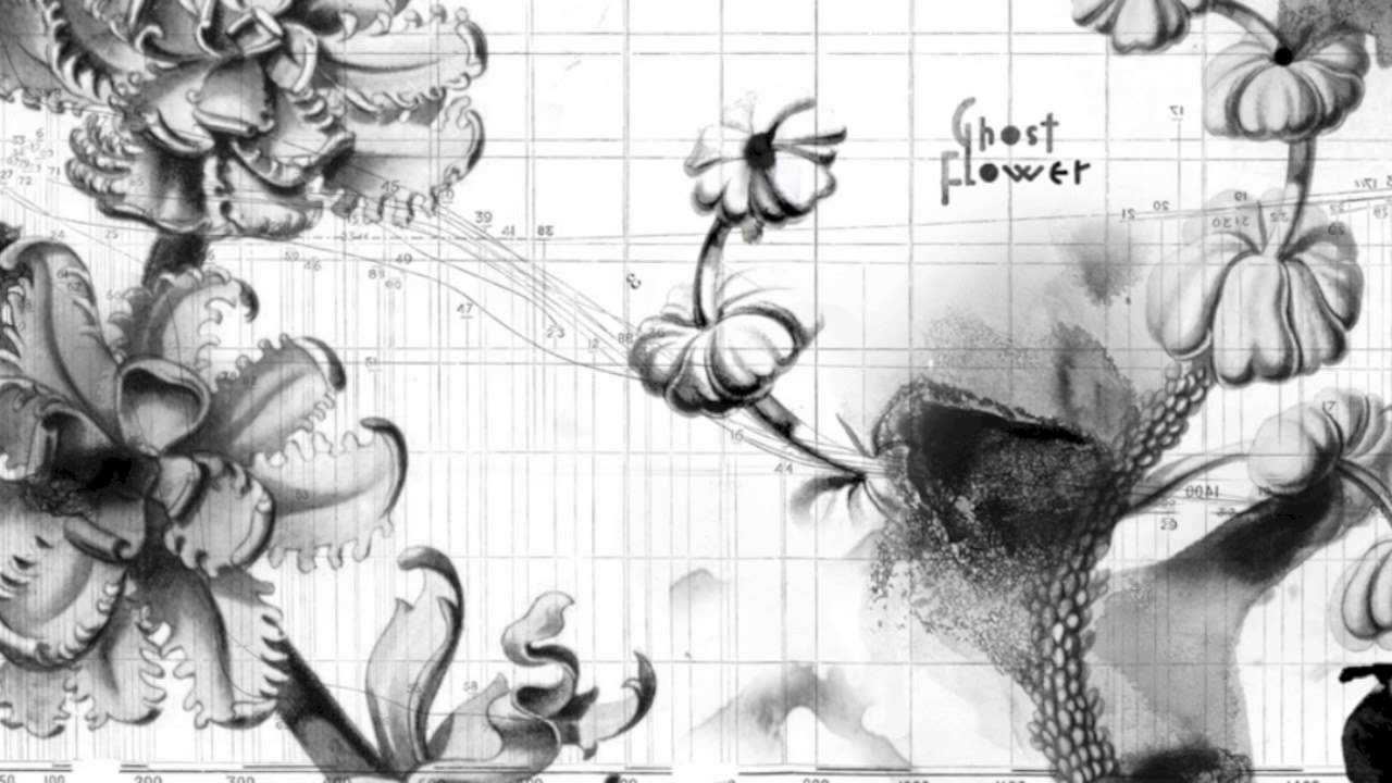 Watch Ghost Flower - Webs on YouTube Watch Ghost Flower - Webs on YouTube
