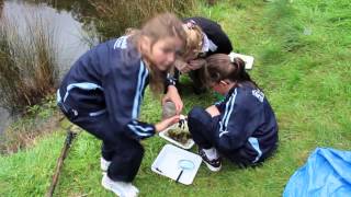 Environmental Education, Conservation Week