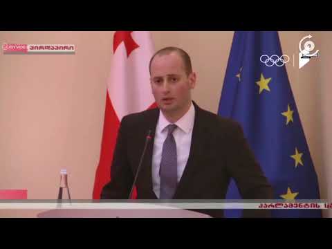 ვიზალიბერალიზაცია, არაღიარების პოლიტიკა და ნატოში ინტეგრაციის პროცესი   დეპუტატებისა და საგარეო საქმ