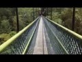 Macritchie treetop walk