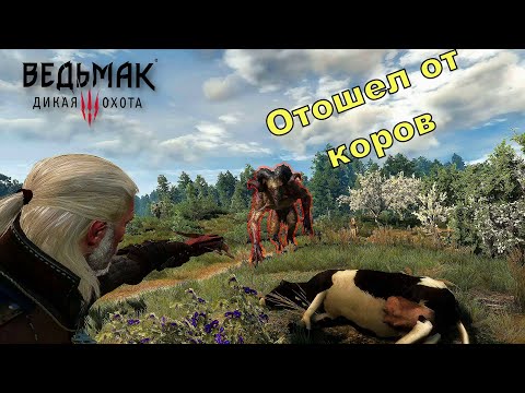 ЧТО БУДЕТ, ЕСЛИ УБИВАТЬ КОРОВ В БЕЛОМ САДУ - Witcher 3 Wild Hunt