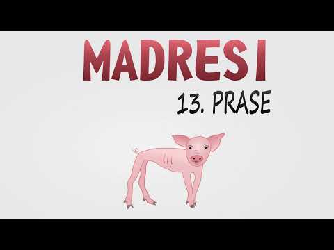 Madresi - Parking