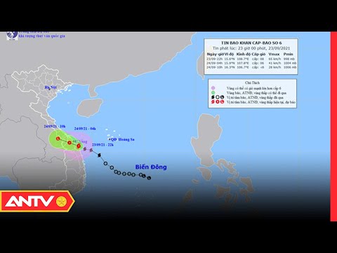 Video: Groundhog Thách Thức Cơn Bão Tuyết Hoành Tráng, Dự đoán đầu Mùa Xuân