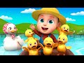 Cinco Patitos - El viejo Macdonald tenía una granja | Rosoo - Song For Kids | Nursery Rhymes
