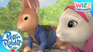 @OfficialPeterRabbit - Waiting for the Right Moment | Action-Packed Adventures | Wizz Cartoons