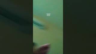 Download Lagu d paspor Yani km ke arah yang memiliki nilai MP3